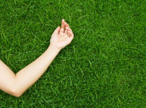 Artificial Grass